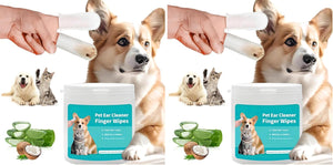 Two side-by-side composite images showing a person's hand holding a white pet ear cleaner wipe in front of a tan and white dog, with a jar labeled 'Pet Ear Cleaner Finger Wipes' and small pet photos on the label. Aloe vera leaves and coconut pieces are shown beside the jar on a white background at Pet Servo