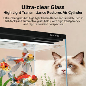 Cat looking at a fish tank with ultra-clear glass and fish inside at Pet Servo