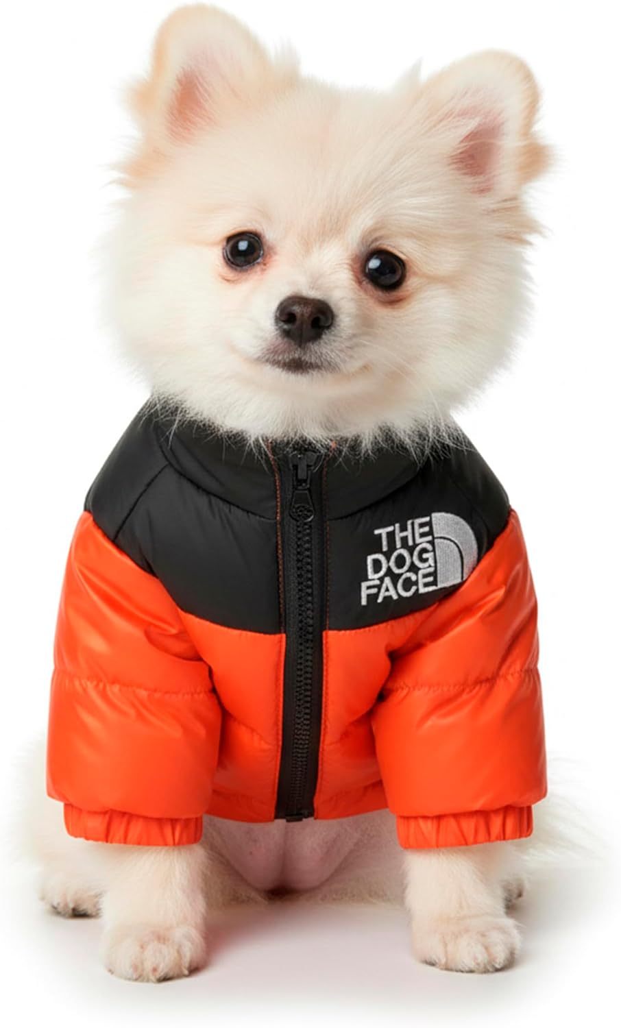 Small dog wearing an orange and black coat with 'The Dog Face' logo on a white background at Pet Servo