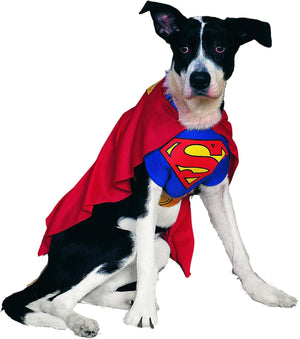 A black and white dog wearing a Superman costume, featuring a red cape and a blue chest emblem with a yellow 'S' logo, set against a plain white background at Pet Servo