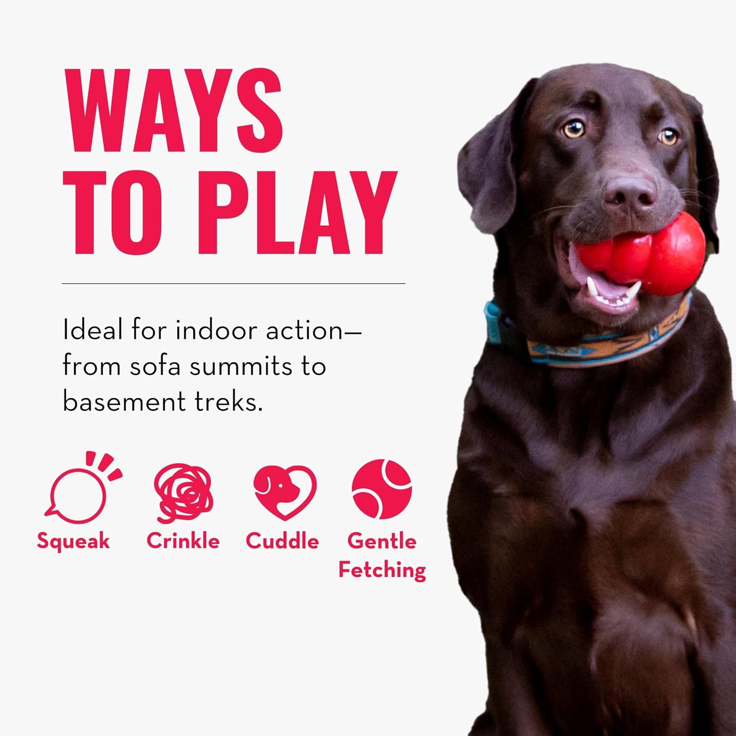 Dog playing with a red ball, surrounded by text about ways to play indoors at Pet Servo
