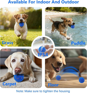 Collage of dogs playing with a blue ball in various settings, including grass, water, carpet, and floor at Pet Servo