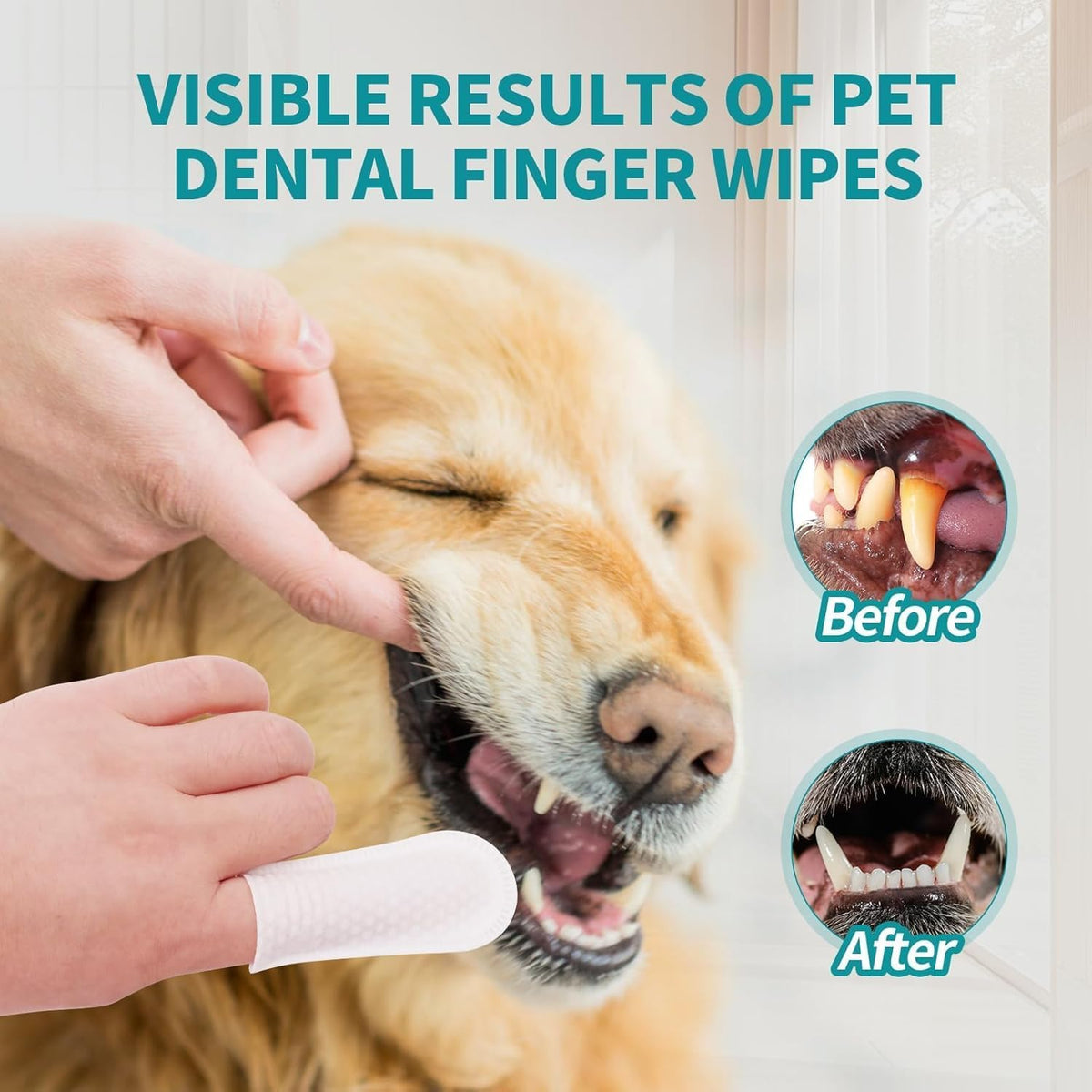 A golden retriever dog has its mouth open while a human hand applies a white pet dental finger wipe. Large teal text at the top reads 'VISIBLE RESULTS OF PET DENTAL FINGER WIPES,' with circular inset images labeled 'Before' and 'After' showing dental plaque buildup at Pet Servo