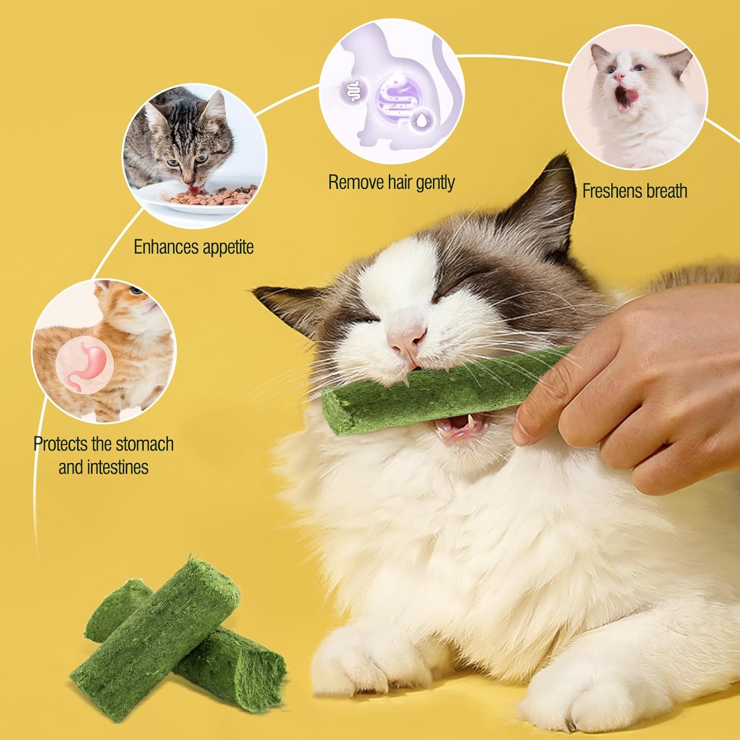 Cat eating a green treat with text on a yellow background at Pet Servo