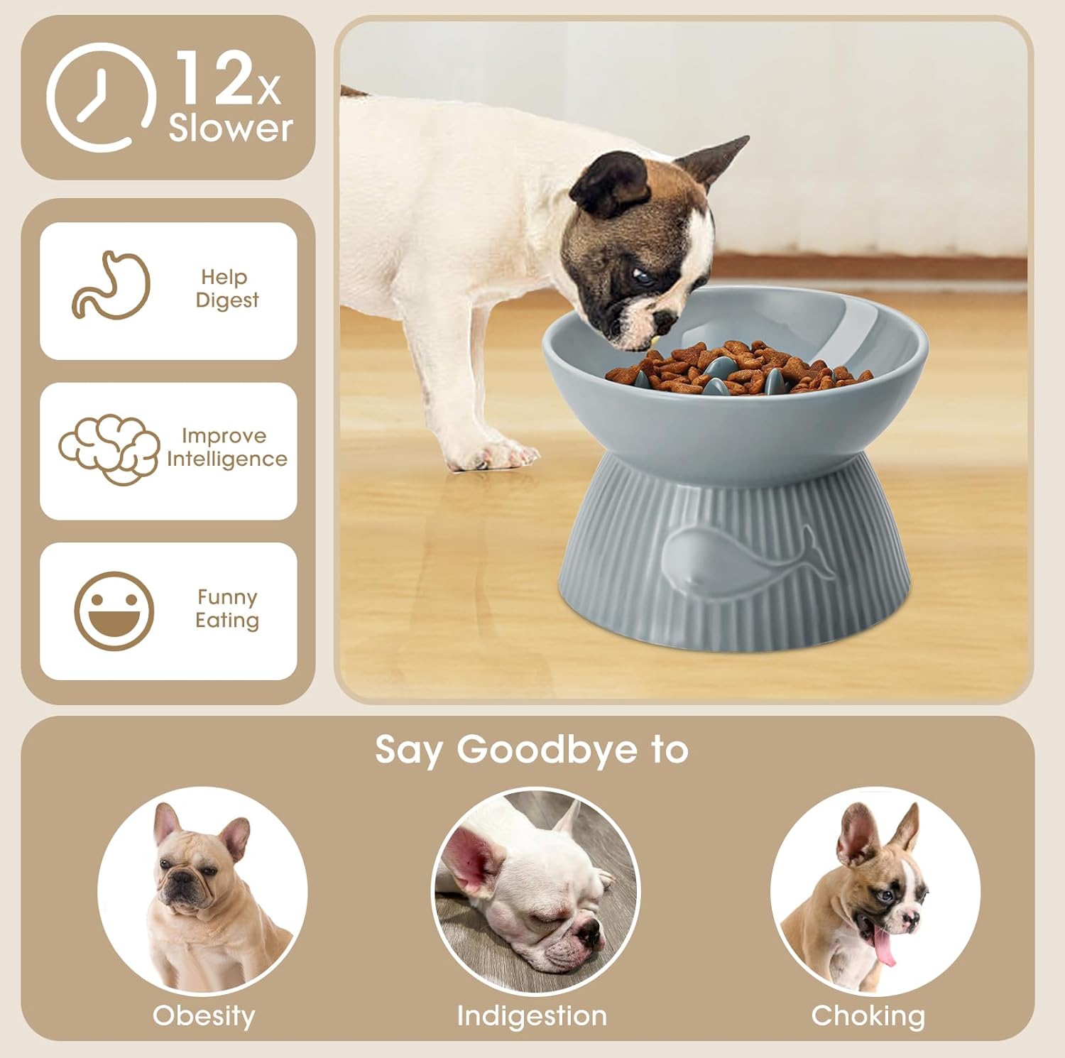 Dog eating from a elevated bowl with health benefits listed on a beige background at Pet Servo