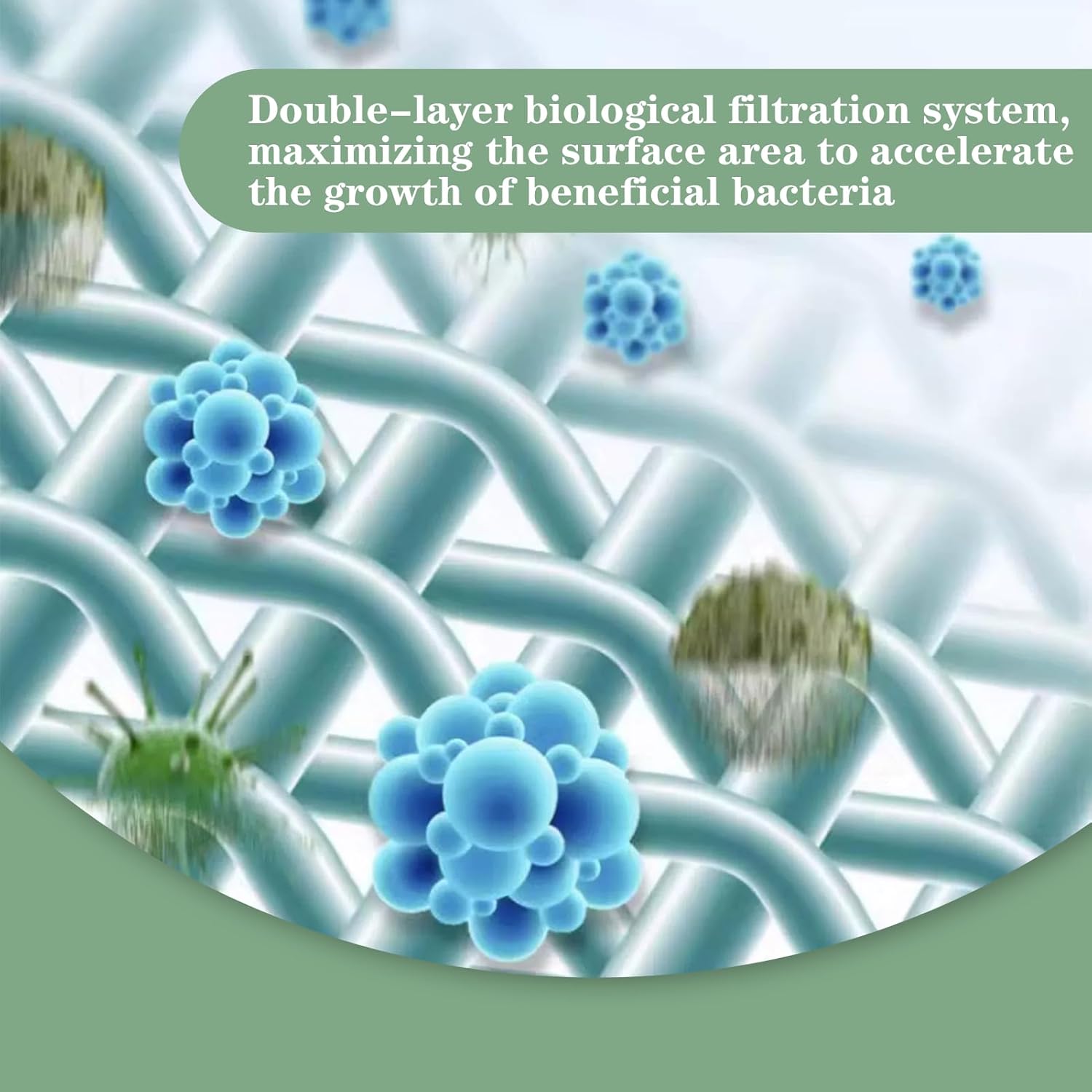 Illustration of a double-layer biological filtration system with beneficial bacteria, on a green background at Pet Servo