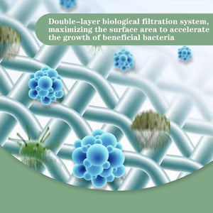 Illustration of a double-layer biological filtration system with beneficial bacteria, on a green background at Pet Servo