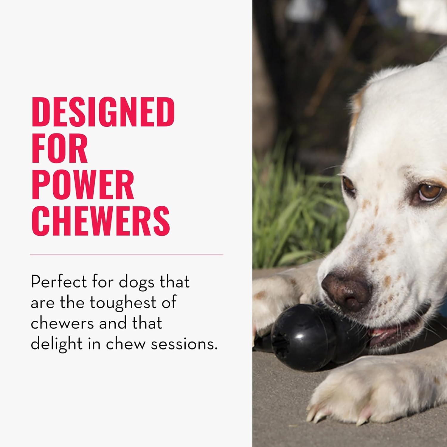 Dog chewing on a toy with text 'Designed for power chewers' on a white background at Pet Servo