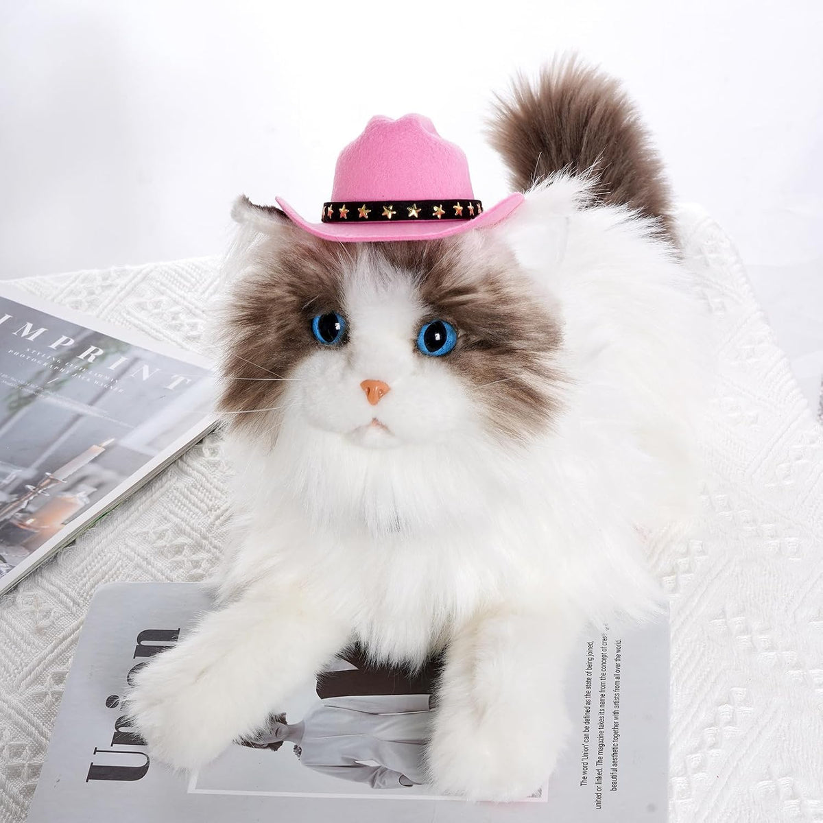 Cat wearing a pink cowboy hat on a white surface with a magazine underneath at Pet Servo