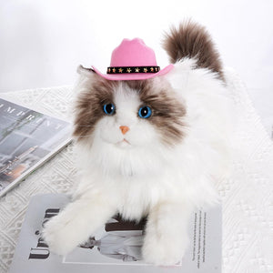 Cat wearing a pink cowboy hat on a white surface with a magazine underneath at Pet Servo