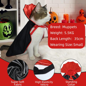 Cat wearing a black and red cape with Halloween decorations in the background
