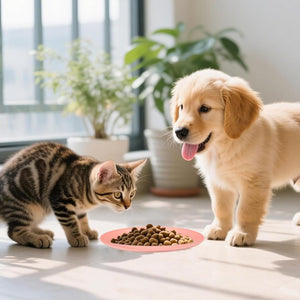Cat and puppy looking at a plate of food on a light-colored floor with plants in the background at Pet Servo