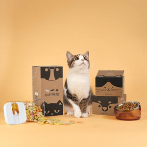 A white, gray, and black tabby cat stands centered between several brown cardboard pet boxes, a clear container of colorful dry treats with spilled pieces, and an amber bowl of kibble on a warm beige studio background at Pet Servo