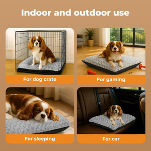 Dog using a pet bed for various activities including in a crate, on a gaming surface, for sleeping, and in a car at Pet Servo