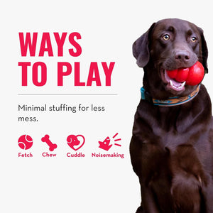 Dog playing with a red ball, with text about ways to play and minimal stuffing for less mess at Pet Servo