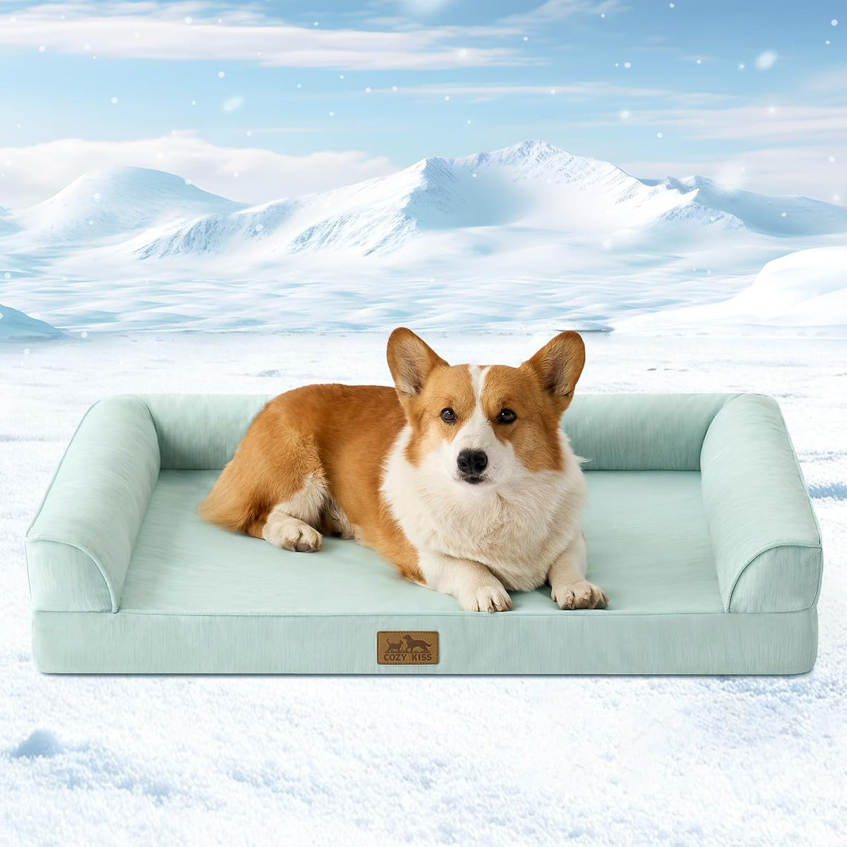 Dog lying on a light blue pet bed with a snowy mountain background at Pet Servo