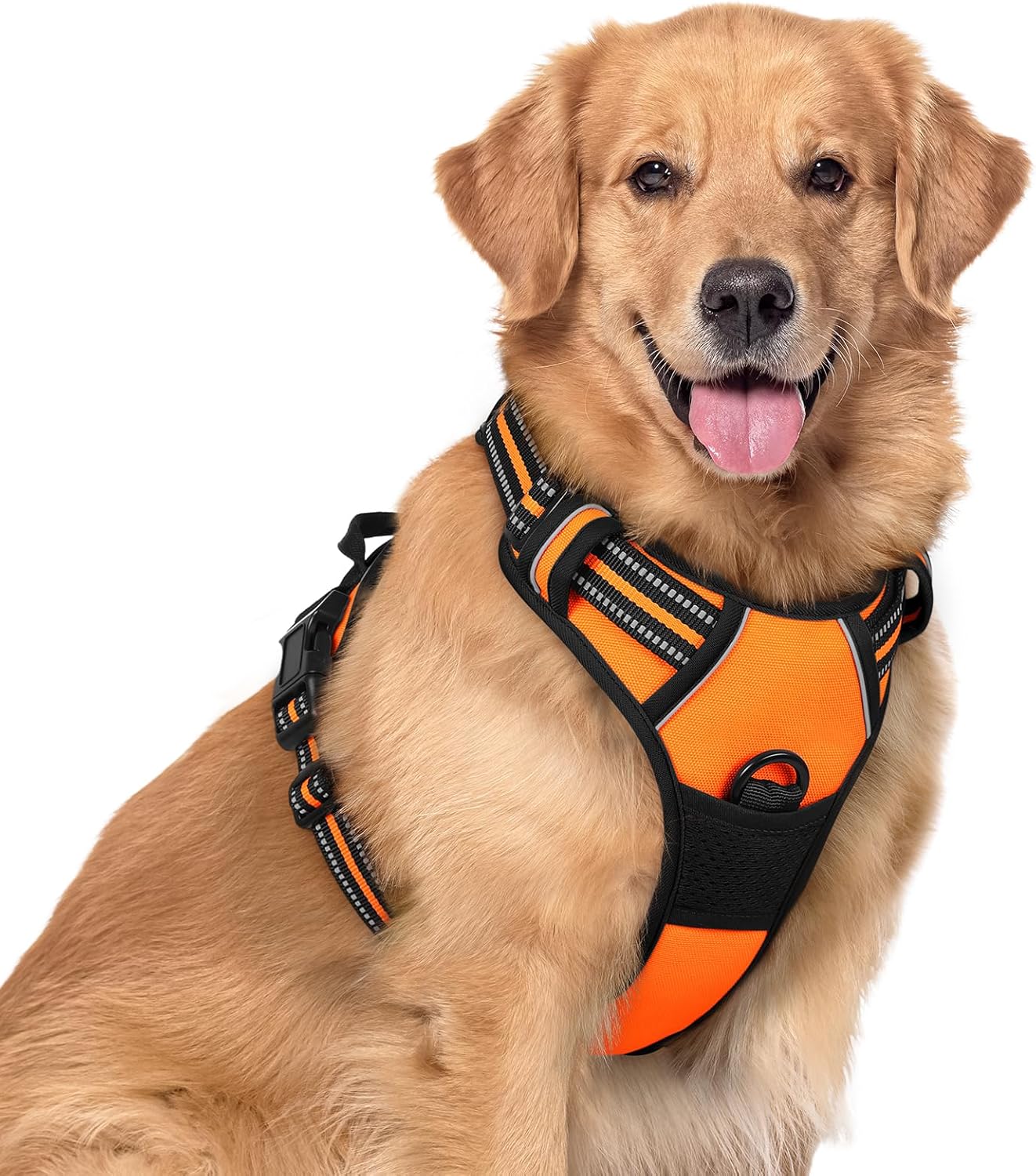 Rabbitgoo - Outdoor Adjustable Pet Harness (Orange) at Pet Servo