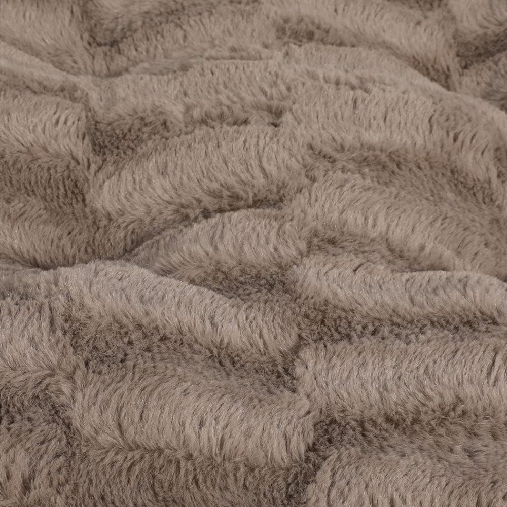 Close-up of textured brown carpet at Pet Servo