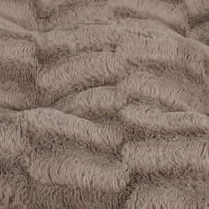 Close-up of textured brown carpet at Pet Servo
