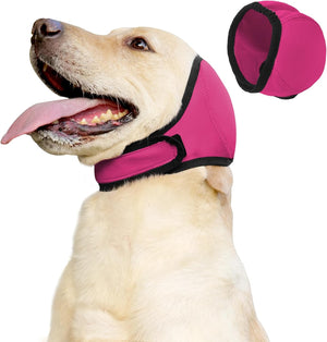 Dog wearing a pink muzzle with a close-up of the muzzle on a white background at Pet Servo