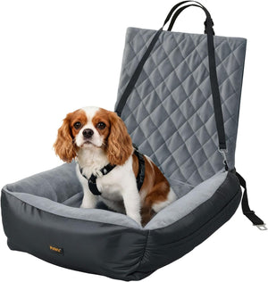 Dog sitting in a gray pet car seat with a white background at Pet Servo