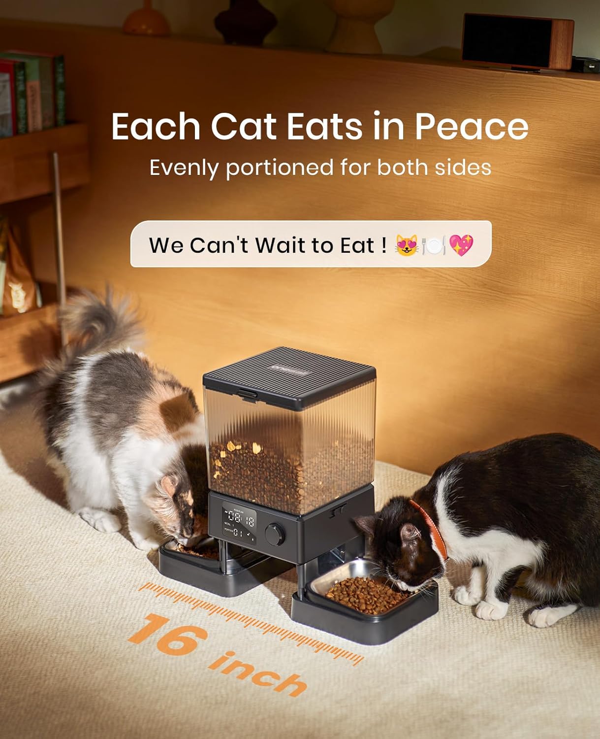 Buy oneisall - Automatic Cat Feeder for Dry Food at Pet Servo