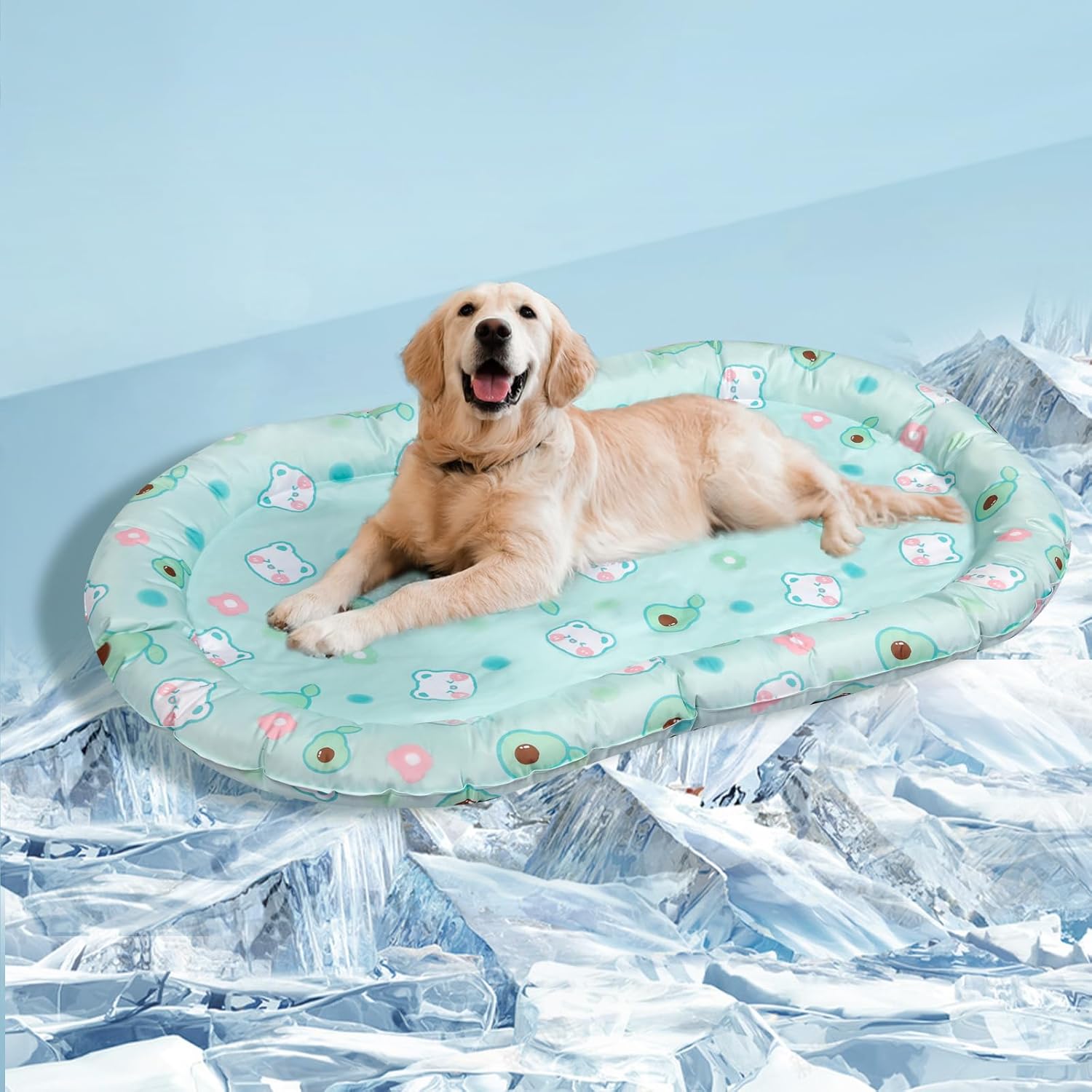 Dog lying on a circular inflatable pool with cartoon designs on a snowy background at Pet Servo