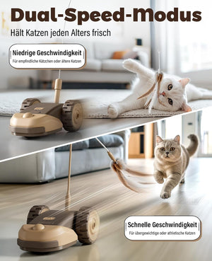 Cat playing with a toy on a table, with text about dual-speed mode for cats at Pet Servo