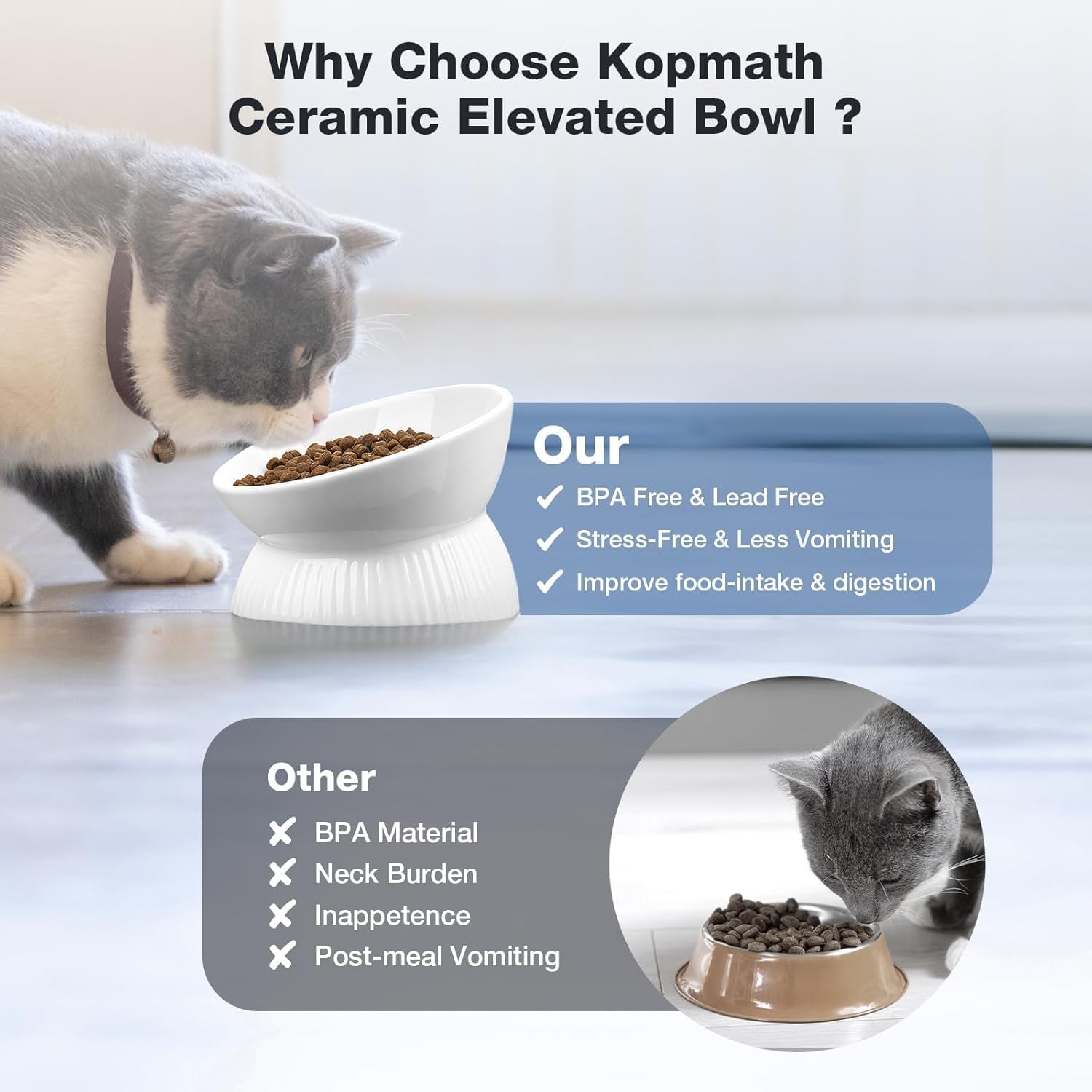 Cat eating from a ceramic elevated bowl with text highlighting benefits at Pet Servo