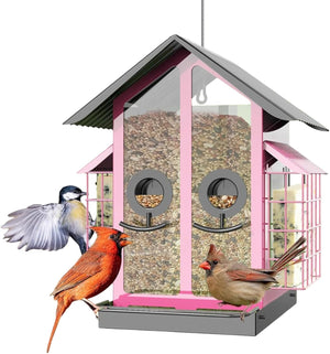 Bird feeder with birds perched on it against a white background at Pet Servo