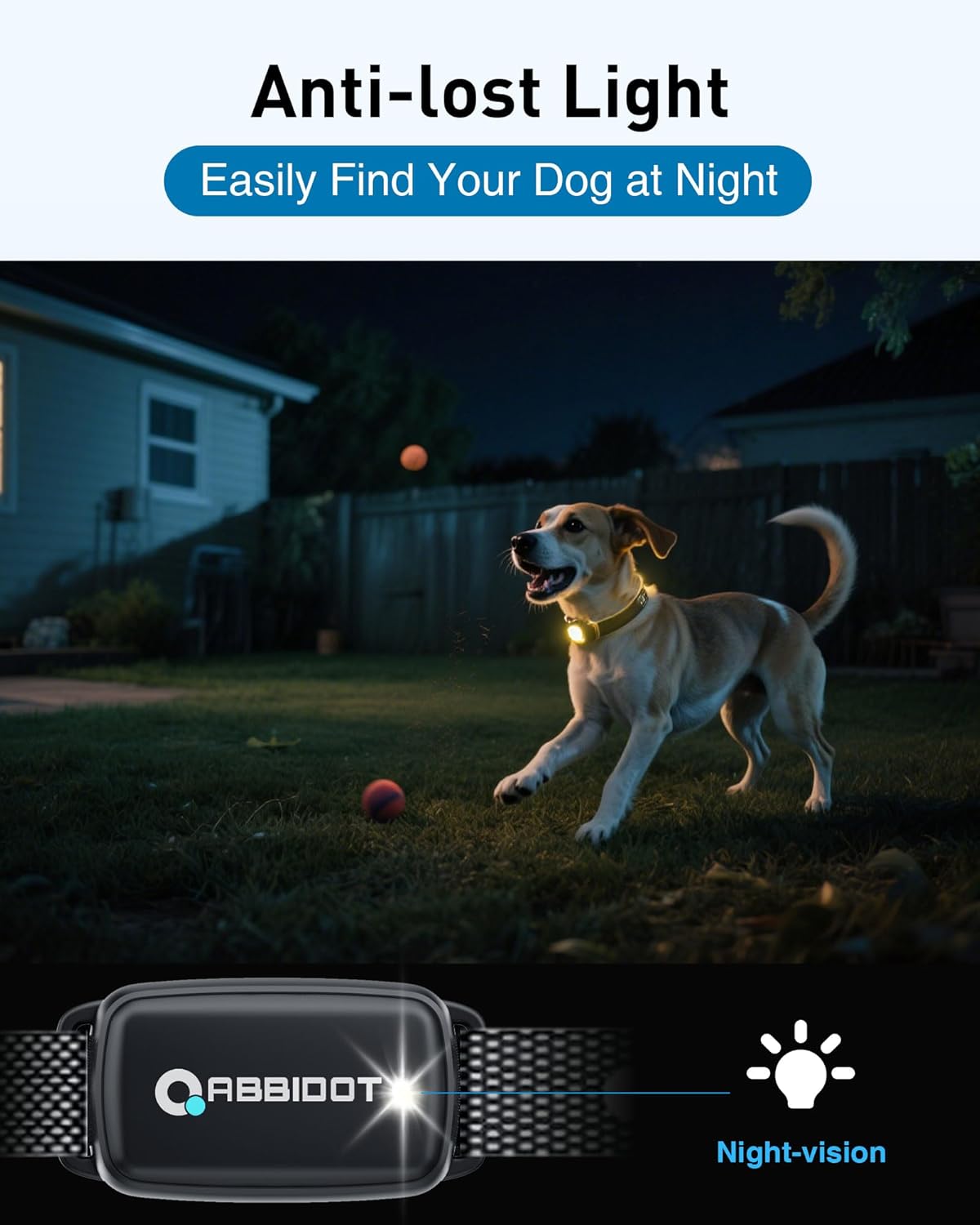 Dog playing with a ball at night wearing an 'Anti-lost Light' device, with Rabidot branding at Pet Servo