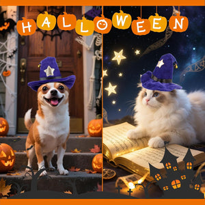 A Halloween-themed split image showing two cats wearing purple witch hats. The left side shows a small brown and white dog on outdoor steps with pumpkins, a haunted house, and a 'HALLOWEEN' banner at Pet Servo