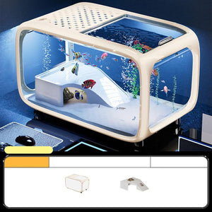 Small aquarium with fish on a dark surface, featuring a white frame at Pet Servo