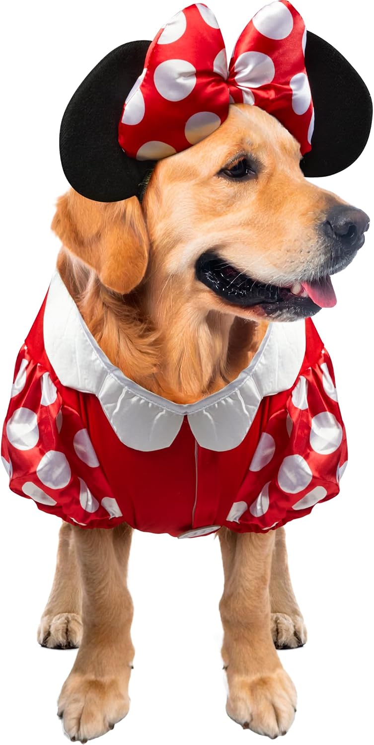 A golden retriever dog wearing a Minnie Mouse-inspired costume with a red dress, white polka dots, white collar, and black ears with a red bow, isolated on a white background at Pet Servo