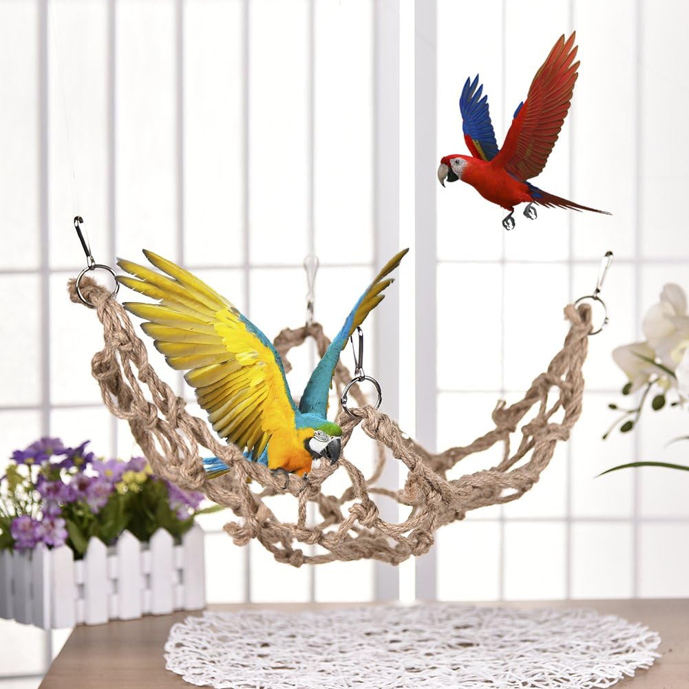 Two parrots in a rope hammock with a white background at Pet Servo
