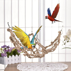 Two parrots in a rope hammock with a white background at Pet Servo