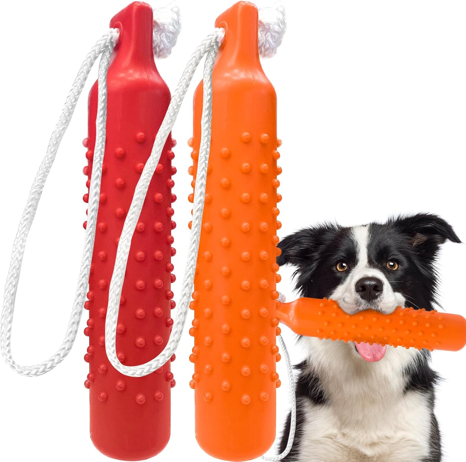 Two dog toys, one red and one orange, with a dog holding the orange toy at Pet Servo