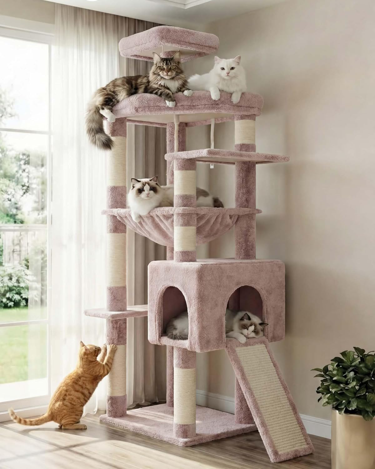 Pink cat tree with multiple cats on different levels in a room with a window at Pet Servo