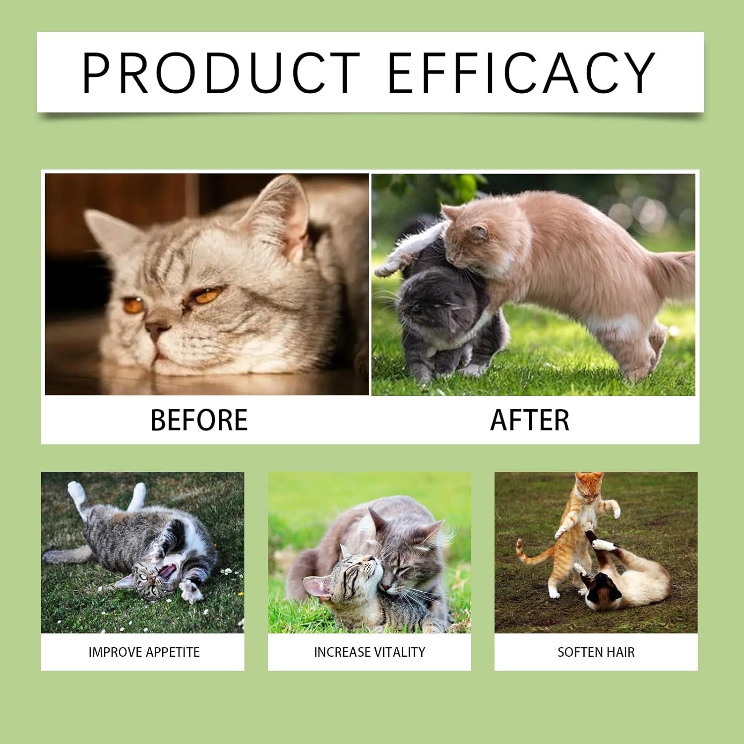 Before and after images of cats with text indicating product efficacy on a green background at Pet Servo