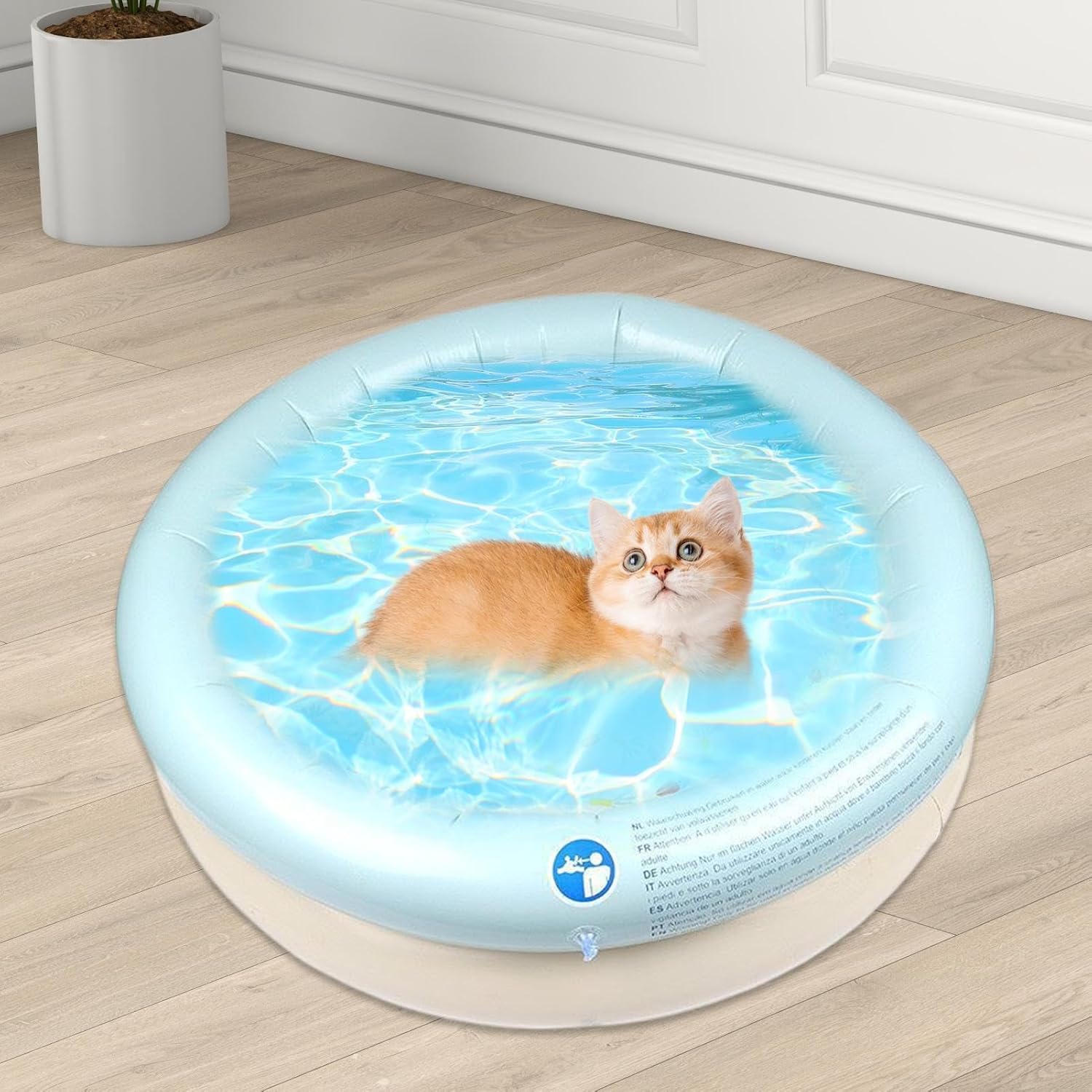 Inflatable pool with a cat on a wooden floor at Pet Servo