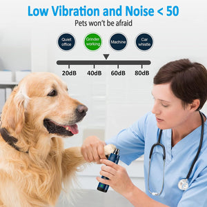 Dog being examined by a veterinarian with a low vibration and noise device, showing a rating scale at Pet Servo