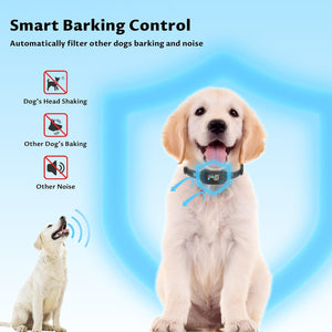 Dog wearing a smart collar with text 'Smart Barking Control' on a blue background at Pet Servo
