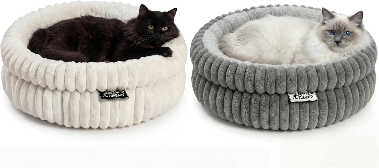 Two cat beds, one white and one gray, with cats inside on a white background at Pet Servo