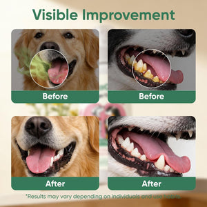 Before and after comparison of a dog's teeth with visible improvement text at Pet Servo