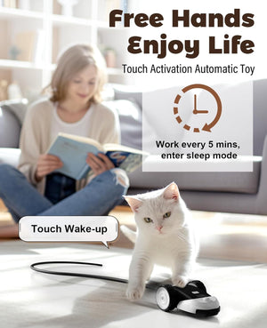 Automated toy for pets with a woman reading in the background at Pet Servo