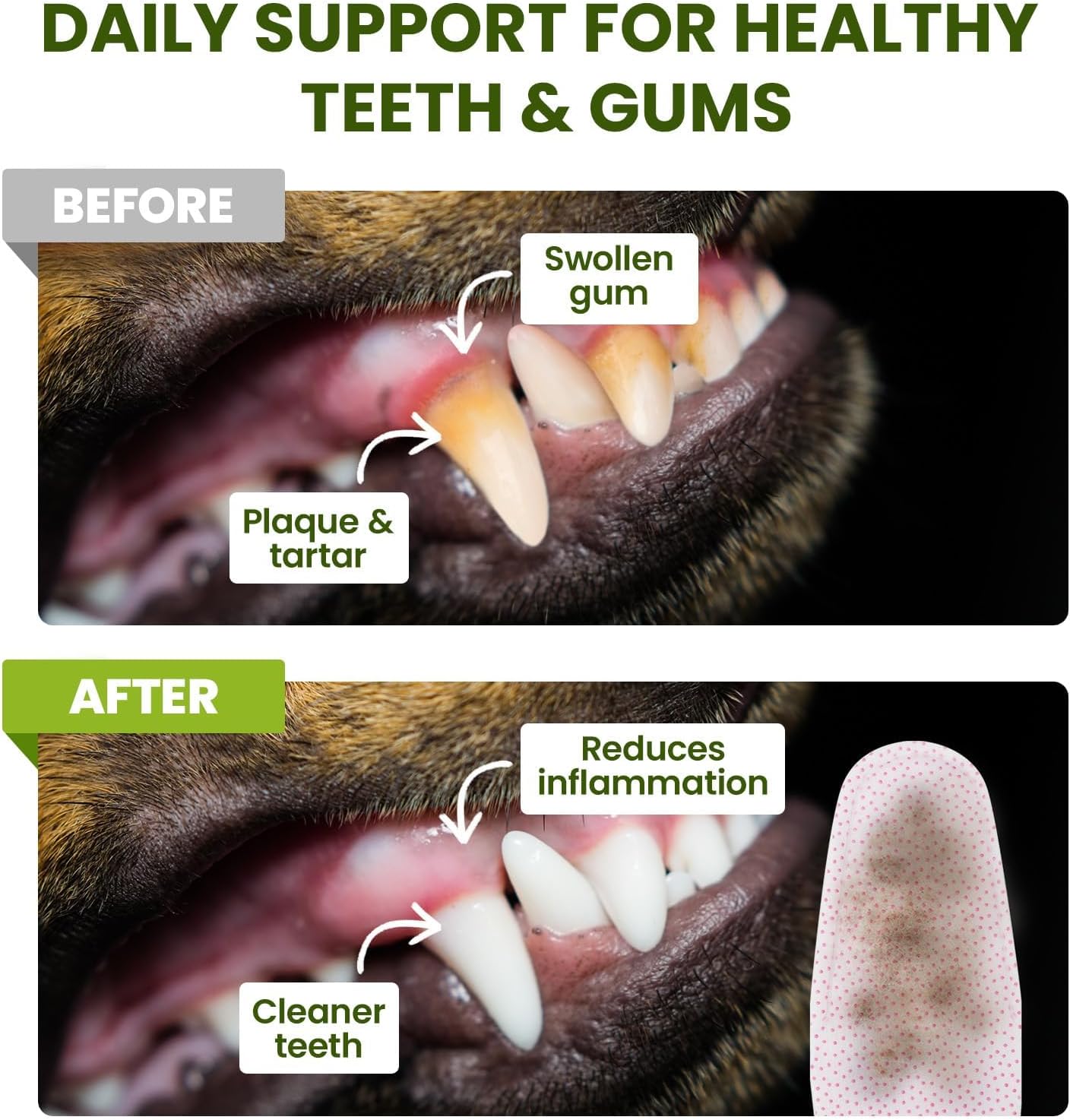 Before and after comparison of a dog's mouth with dental care product showing reduced inflammation and cleaner teeth at Pet Servo