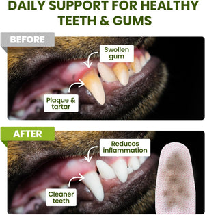 Before and after comparison of a dog's mouth with dental care product showing reduced inflammation and cleaner teeth at Pet Servo