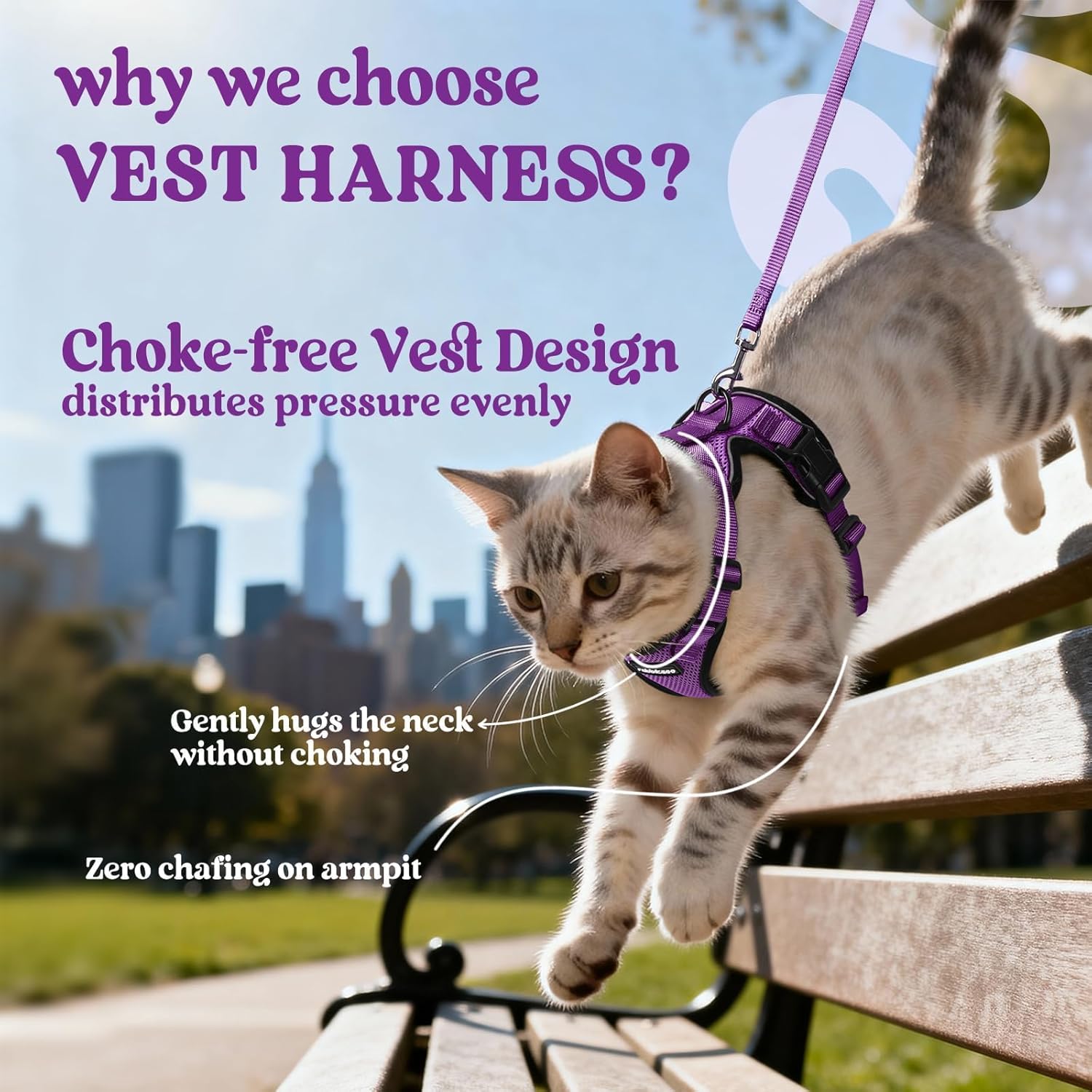 Cat wearing a purple vest harness with text explaining its benefits, set against a cityscape background at Pet Servo