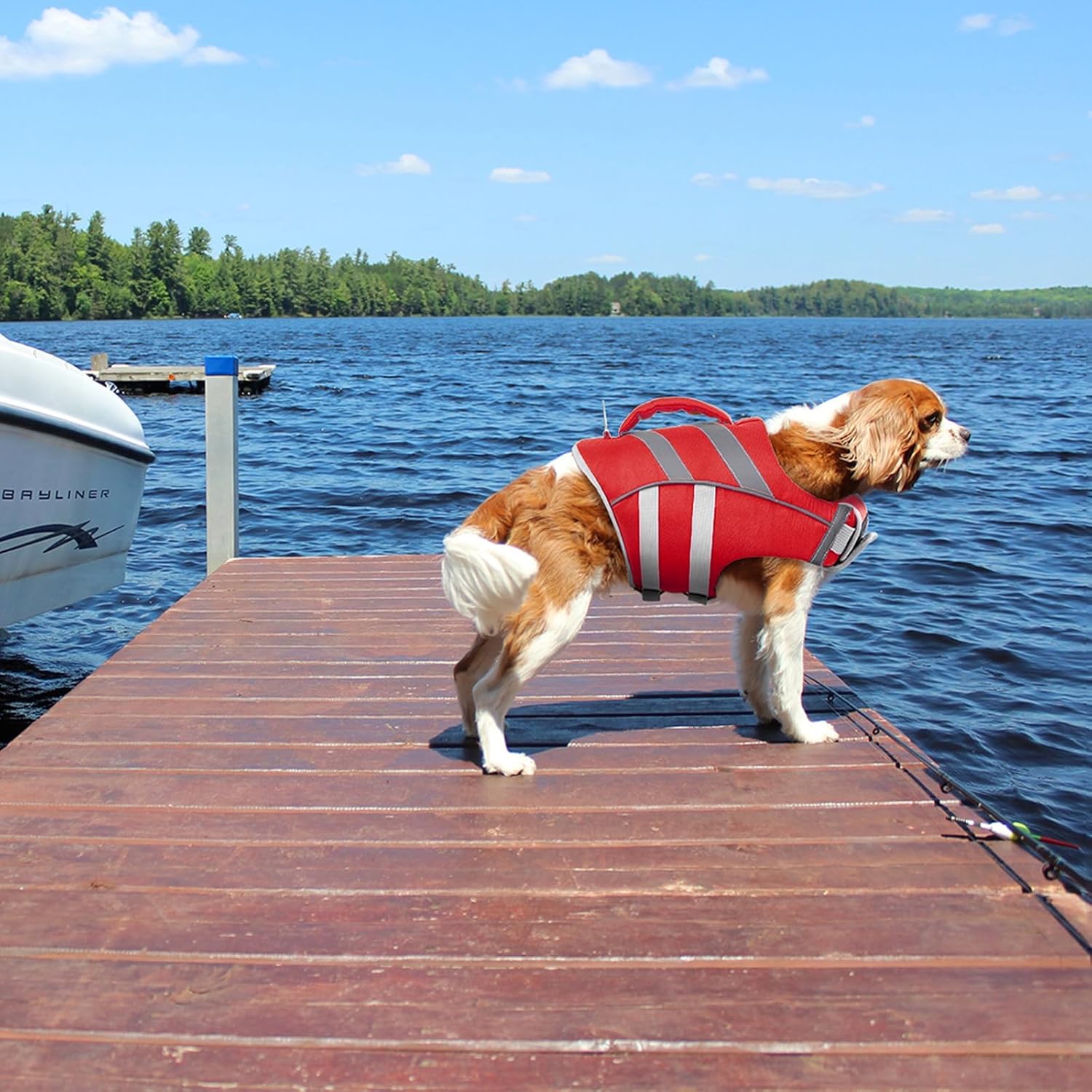 Dog wearing a red life jacket on a wooden dock by a lake at Pet Servo