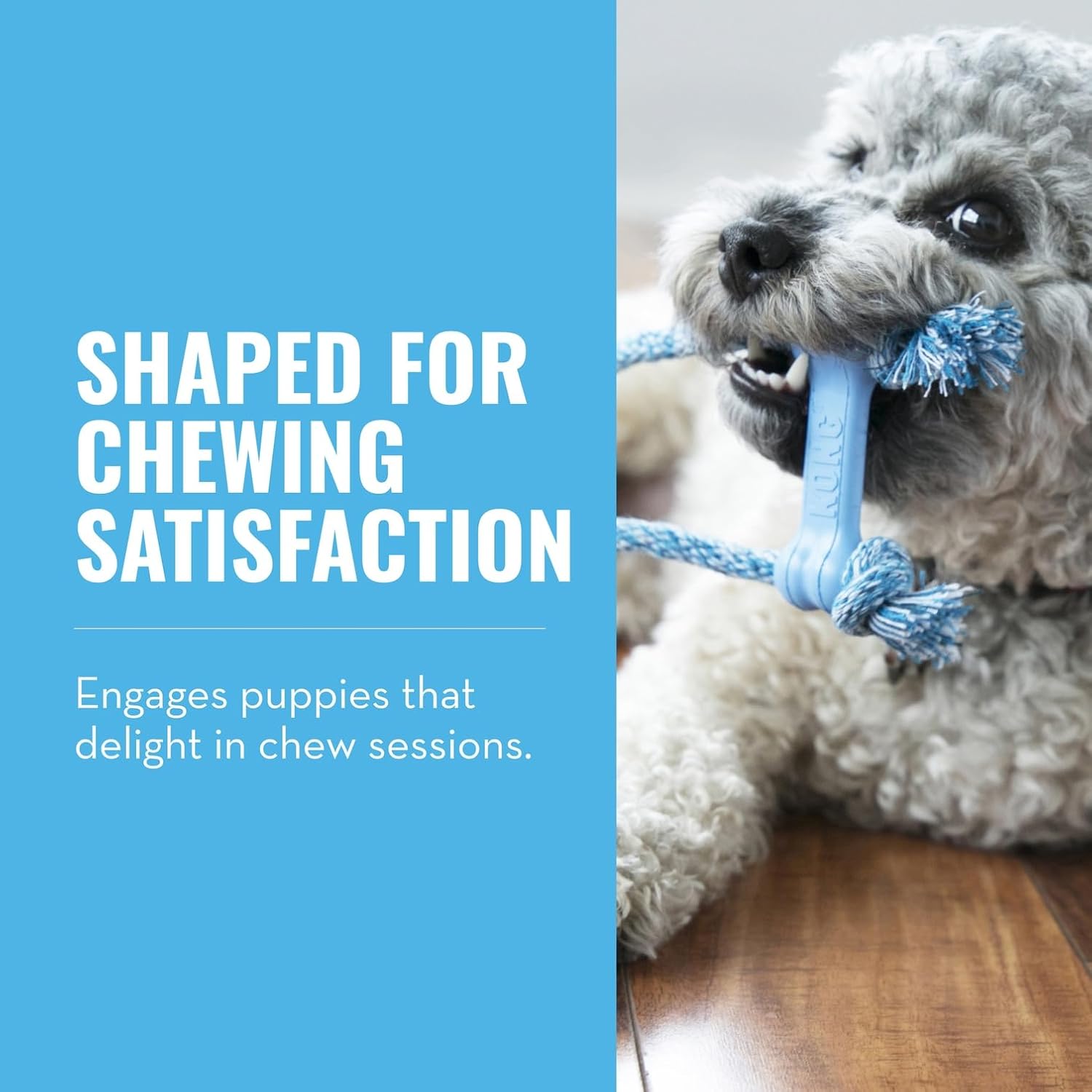 Dog chewing on a blue rope toy with text about chewing satisfaction at Pet Servo